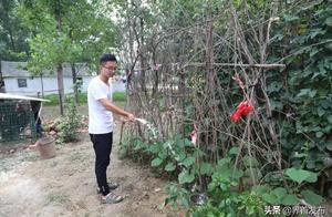 看哭！界首寒門學子的勵志故事~