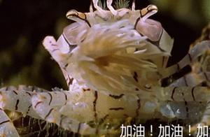 人為什麼這麼忙，因為等不起