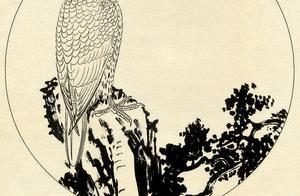 工筆畫素材《白描鷹圖》