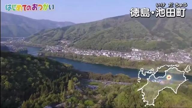 為了祭奠在天堂的爸爸，4歲的哥哥帶著2歲的弟弟坐車去買花，過程讓日本網友淚奔