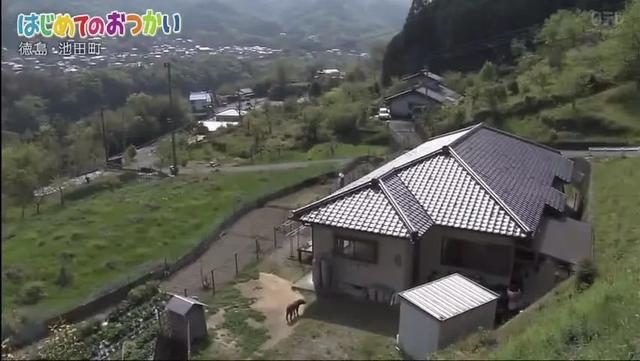 為了祭奠在天堂的爸爸，4歲的哥哥帶著2歲的弟弟坐車去買花，過程讓日本網友淚奔