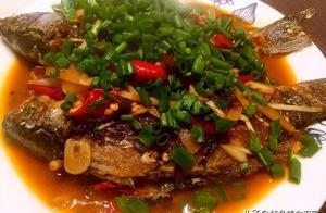 又香又辣的鯽魚，要這樣做才好吃，「蔥蔥鯽魚」美味，好吃