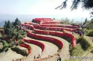 做好以下幾點，鄉村振興就有盼頭了