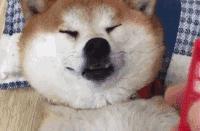 說好的人與人之間的信任呢？