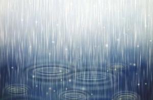 明日有雨，彩虹捕手們準備好了嗎？