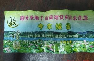 細思極恐！武漢老夫妻參加避暑游，竟被帶到陵園