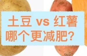 「科普營養」紅薯和土豆，減肥應該吃哪個？
