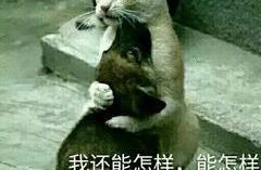 為什麼神書《大王饒命》口碑不行？