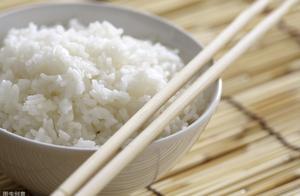 減肥主食這樣吃更容易瘦