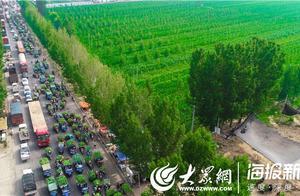 個大又甜！東明西瓜大量上市千輛瓜車齊售場面震撼