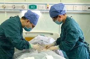 52歲爸爸為救子，骨穿針扎了102針！「夠不夠，不夠再采」！