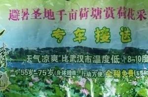 免費避暑之旅變墓地推銷，這些專坑老人的套路千萬別踩