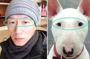 盤點和動物「撞臉」的明星, 笑死人不償命!網友：張瀚這張絕了