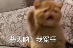 周迅趙薇鬥法楊冪背鍋！原來「撕番位第一案」都是楊冪挑撥的？