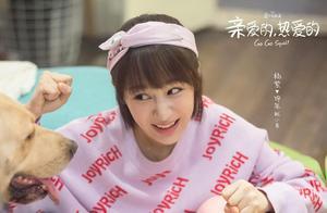 李現和張家輝比較？楊紫出席《沉默的證人》發布會，再顯高情商