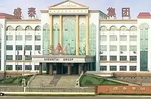 盛泰集團：司法重整真實情況是這樣的