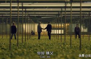 豆瓣9.3分，今年最「硬核」的犯罪劇