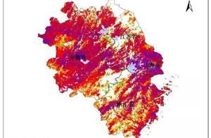 今日南京37℃！再堅持堅持，預計8月3日後迎來轉機