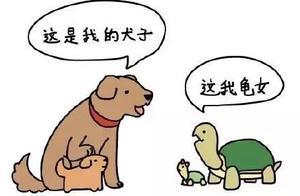 請男生回答，為什麼相親時反感喜歡旅遊的女生？