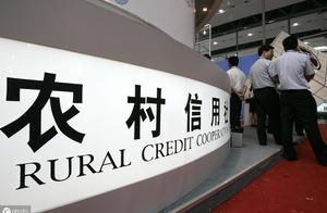 畢業後一年，為什麼這麼多人備考農信社？