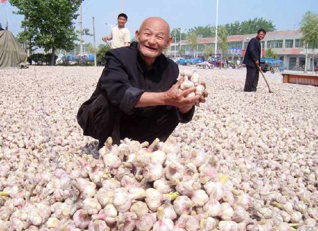 大蒜有幾百個好處,，唯有這一點，太多人不知道！ 