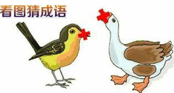 妹子明知道我叫她出門游泳卻不穿泳衣，這結果後悔了吧！笑得我重複看了幾遍！