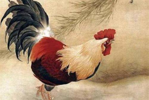大師說：這6大生肖8月運勢，上上簽，錢多，命好，貴人旺