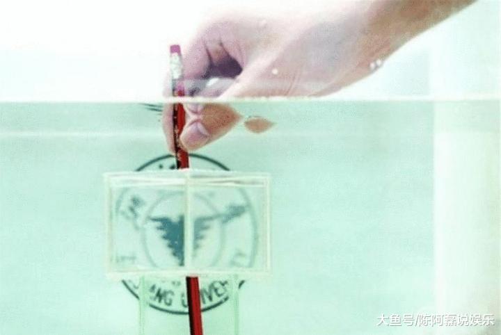 工人自製「吸金球」一年內盜走廠里16斤黃金, 狂賺200多萬元！