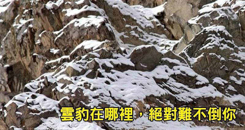 盤點10種最擅長偽裝自己的動物！讓大家來鍛鍊眼力吧！