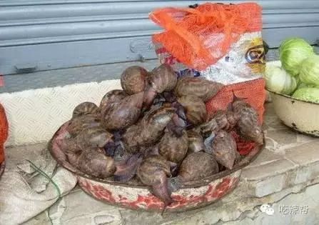 非洲黑人的日常美食，最後一樣噁心到我了！