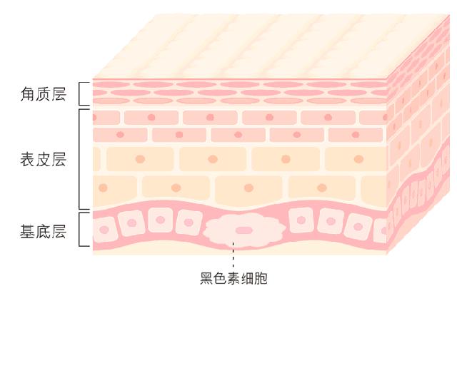 白髮越長越多，可能是肝腎問題