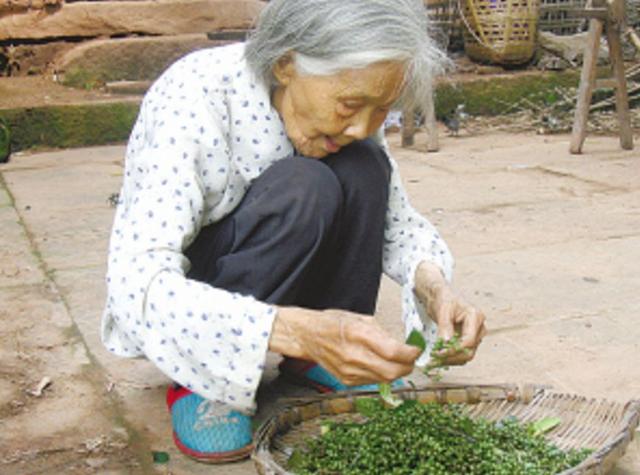 老太去兩個孩子家，每次到小兒子家吃飯卻不夾菜，原因讓人紅了眼