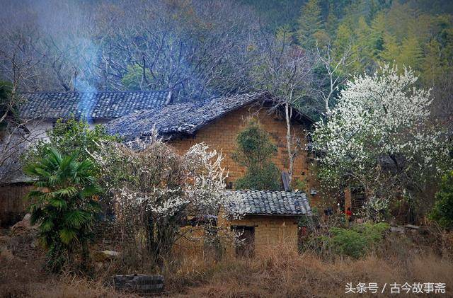 窮小子被罵一輩子打光棍，出來打工不到一年，白富美非要嫁給他
