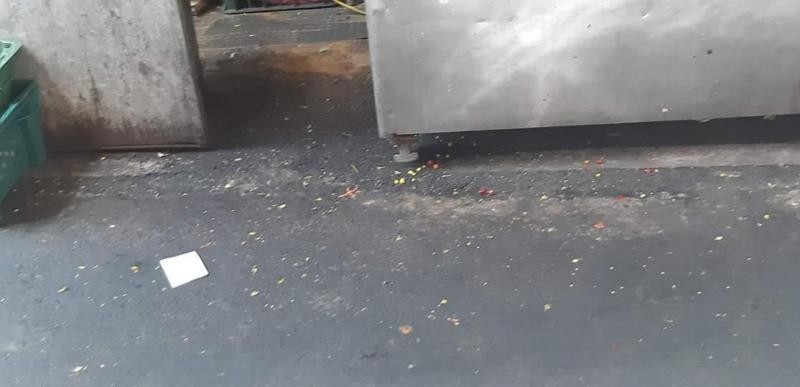 知名連鎖店生魚片出現蛋白質增量版？網友大驚：以後吃東西要先檢查了