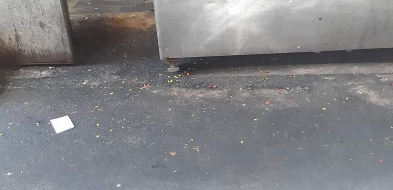 知名連鎖店生魚片出現蛋白質增量版？網友大驚：以後吃東西要先檢查了