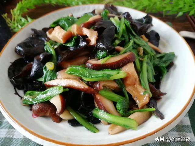 想要瘦身？要常吃這些蔬菜，分享12道減肥食譜，吃不胖，味道還香