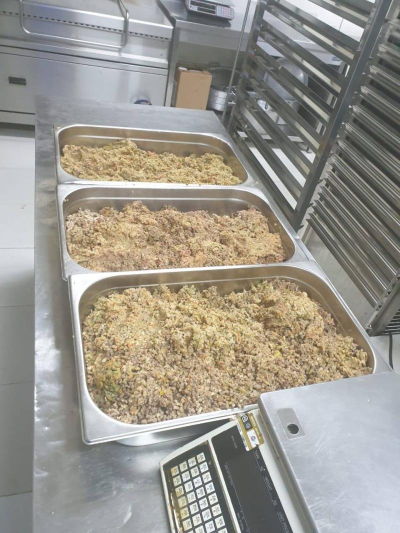 客人吃剩一堆...五星主廚製成「高級狗食」　讓收容所浪浪再也不挨餓~~~