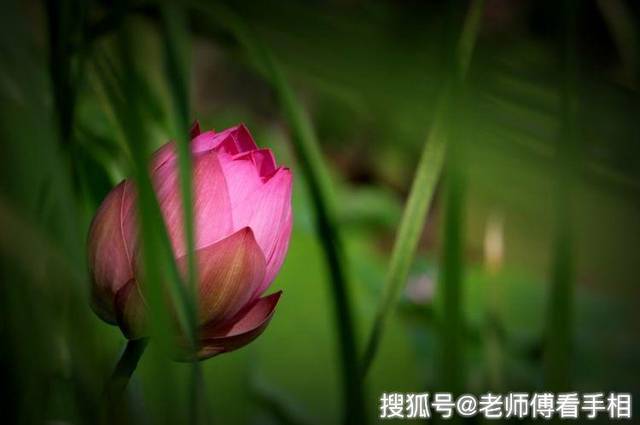 9月開門見喜，3生肖萬事大吉，福氣進門，交好運！