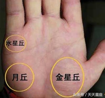 這3種掌紋的人，一生註定非富即貴 !