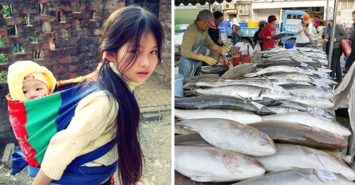 小姊姊帶著弟弟「撿菜葉想給爸爸慶生」，賣魚的人心軟送了兩條魚，回去發現魚肚裡有鑽戒，歸還被犒賞10萬元