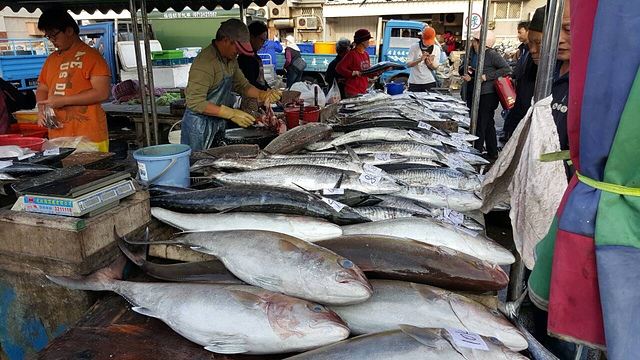 小姊姊帶著弟弟「撿菜葉想給爸爸慶生」，賣魚的人心軟送了兩條魚，回去發現魚肚裡有鑽戒，歸還被犒賞10萬元