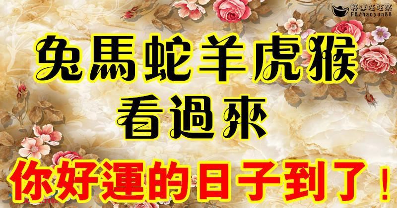 兔馬蛇羊虎猴看過來，你好運的日子到了