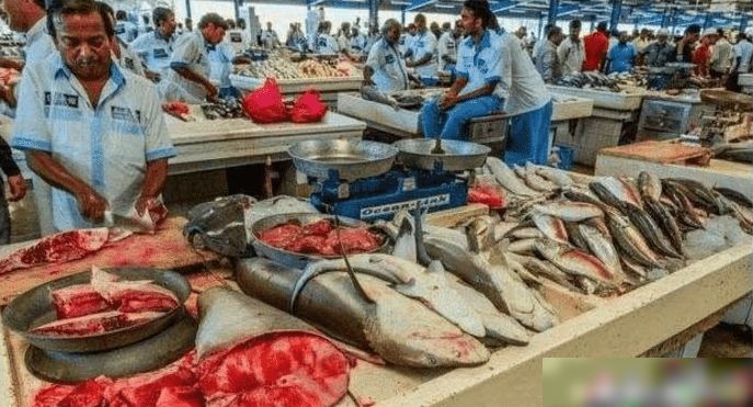 杜拜土豪們逛的菜市場：鯊魚擺地攤，滿地都是帝王蟹大龍蝦！