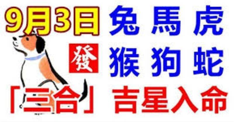 9月3日生肖運勢_兔、馬、虎大吉