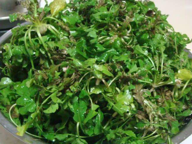 癌細胞是吃出來的？醫生提醒：4種食物吃得越多，癌細胞越高興，尤其第一種