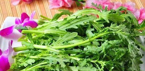 它是尿酸高的「對頭」，經常吃一點，幫你遠離痛風，保護腎臟