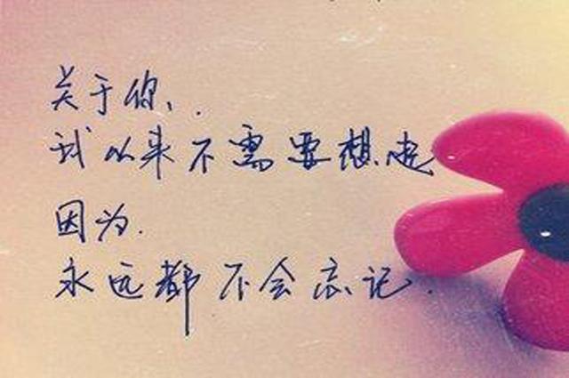 不曖昧，不糾纏，不聯繫，是我最後的溫柔 