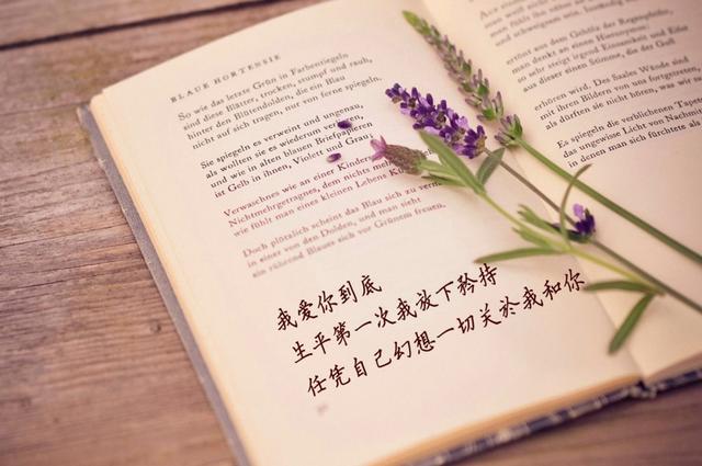 不曖昧，不糾纏，不聯繫，是我最後的溫柔 