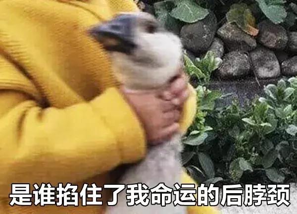 小孩真的不會說謊！天真孫寫作業「爆出阿公大八卦」，加碼爆料「阿公最大心願」網笑：直接把阿公賣光光了啦XDD
