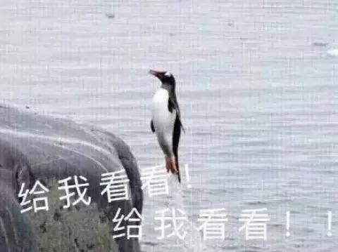 姚晨查出「癌症」崩潰大哭：男人愛不愛你，身體最實誠